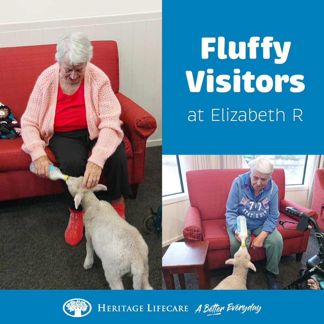​Fluffy Visitors at Elizabeth R